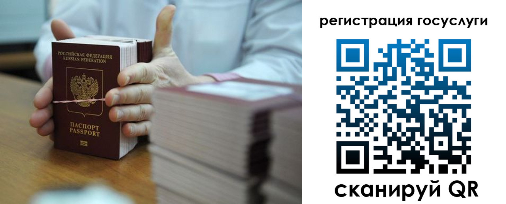 регистрация в Стародубе